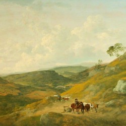 The Bridge of Beauty